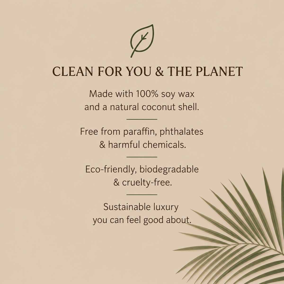 Botanical Soy Candle | Coconut Shell Collection
