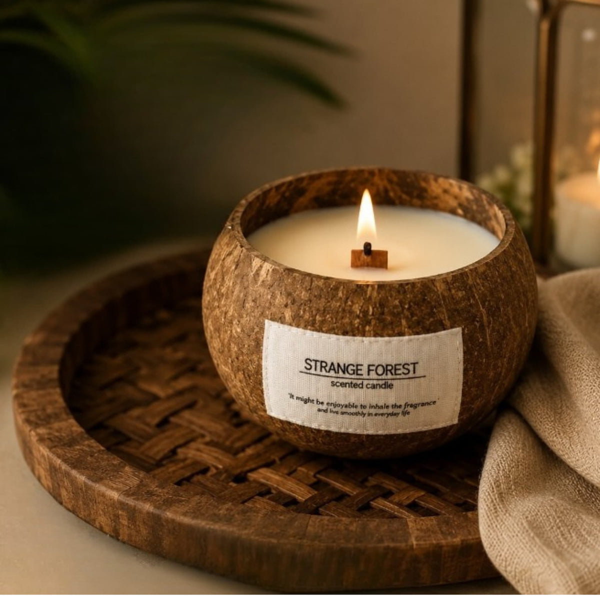 Botanical Soy Candle | Coconut Shell Collection